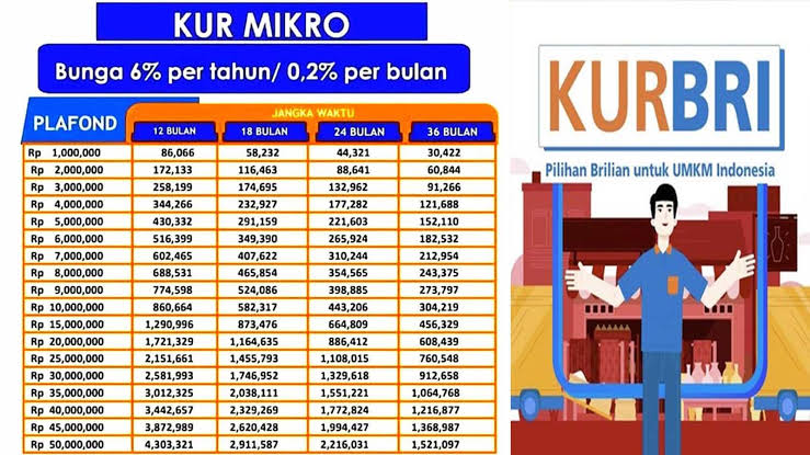 Contoh Form Keluhan Peminjaman 2024