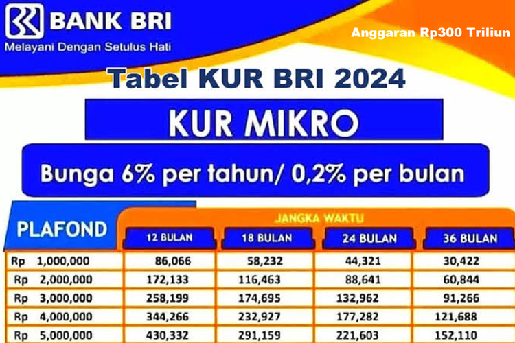 Eform BRI Kur 2024