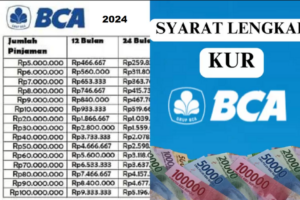 Aplikasi Big Box Pinjaman 2024