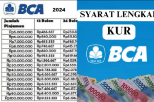 Aplikasi Aplikasi Koperasi Simpan Pinjam 2024