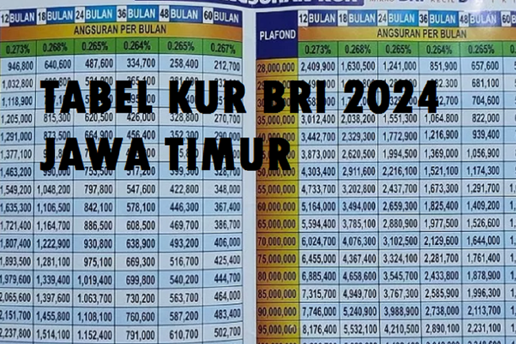 Pinjam Uang Di Bank BRI Bunga Berapa Persen 2024