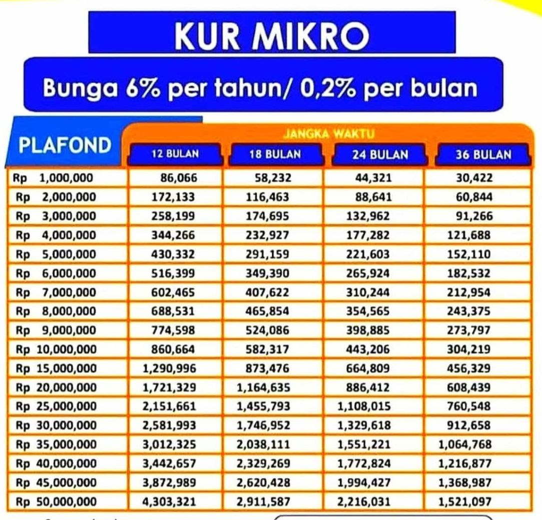 Kurs Pinjaman BRI 2024