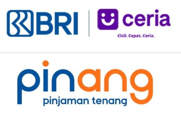 Pinjaman Online Dari Bank BRI 2024