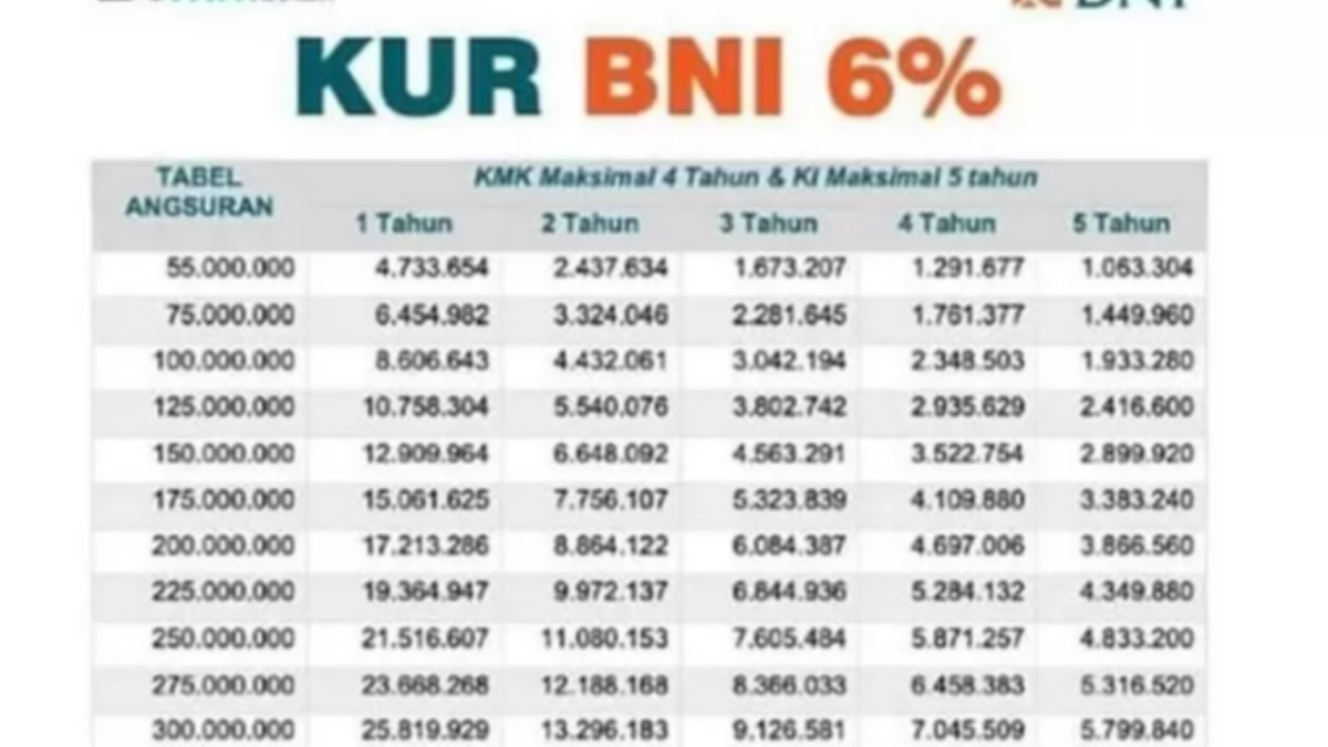 Pinjaman Uang Tanpa Npwp 2024