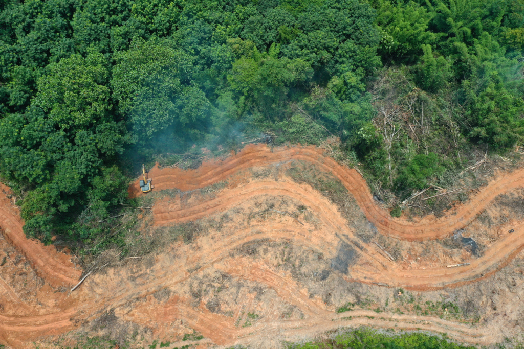 Contoh Ijin Pinjam Pakai Hutan 2024