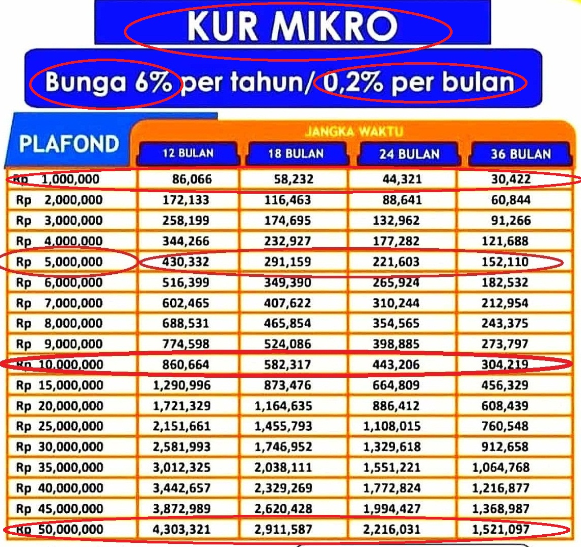 Tabel Pinjaman BRI 2024