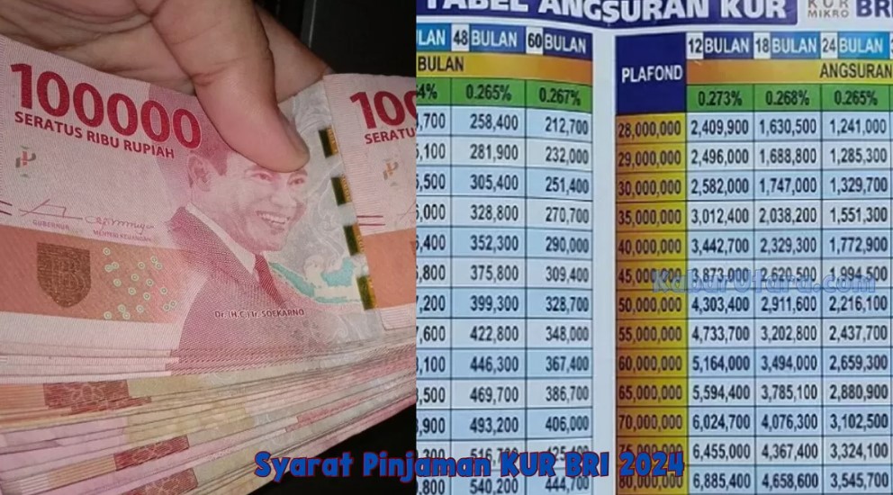 Cara Mudah Pinjam Uang Di Bank BRI 2024