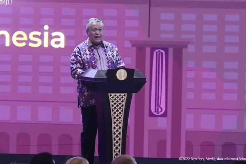 Apakah Pemerintah Meminjam Dana Ke Bi 2024