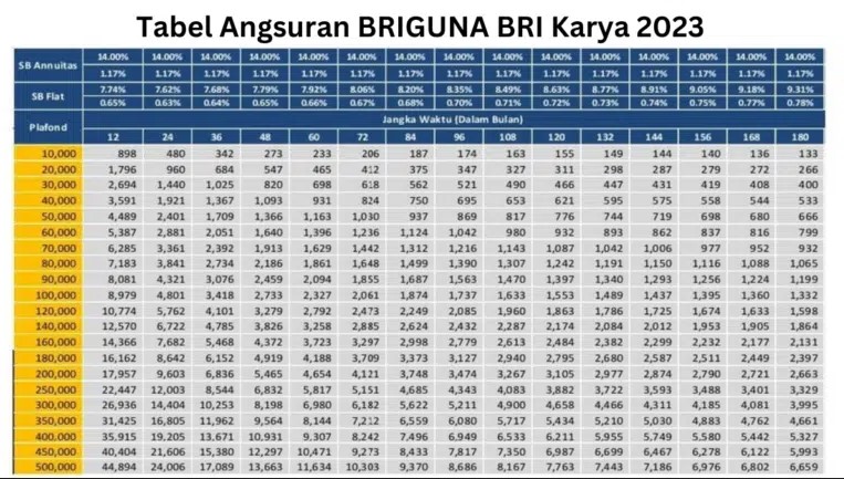 Pinjaman BRI BRIguna 2024