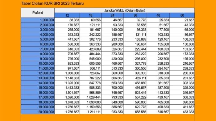 Pinjaman Mahasiswa BRI 2024